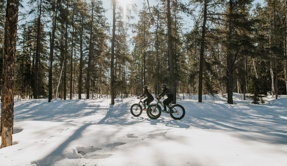 Federation de velo discount quebec