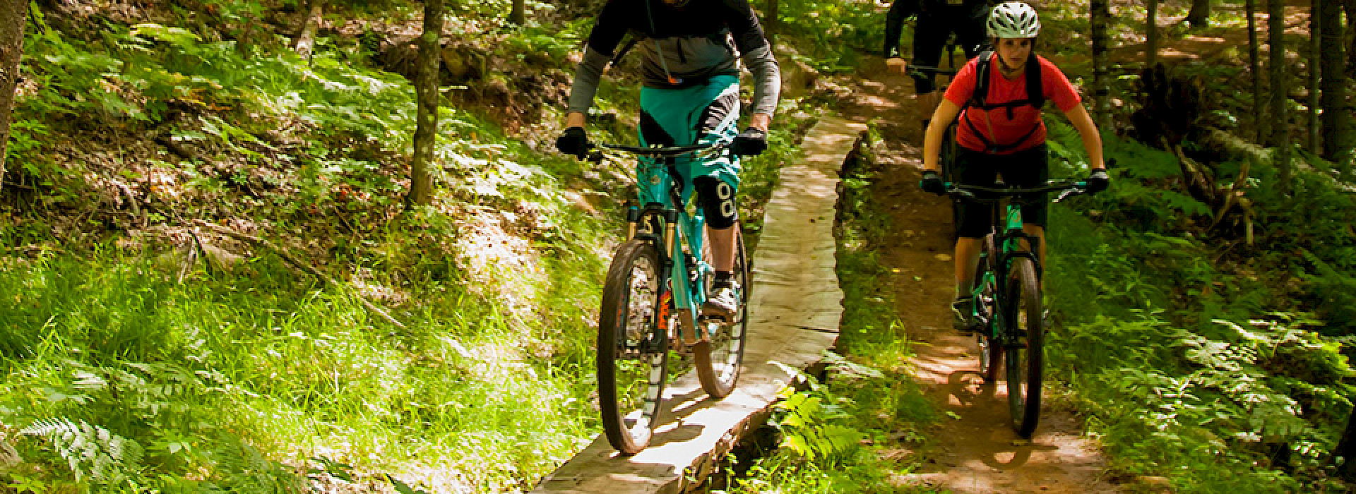 VELO DE MONTAGNE ou VTT: le plus grand choix à Québec - Mathieu